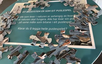 Nytt puslespel på Kvassheim Fyr