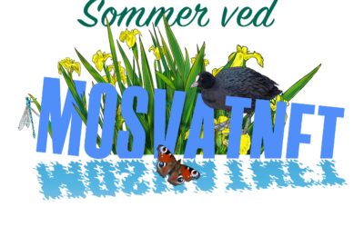 Sommer ved Mosvatnet og Jærkysten